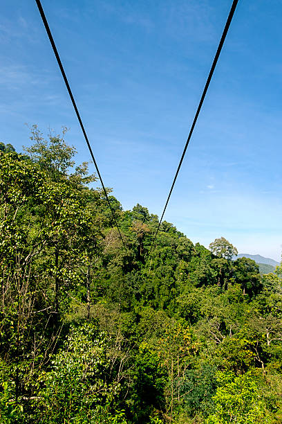 istock Zipline in the mountain 508834824