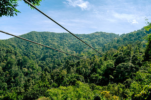 Zipline in the mountain