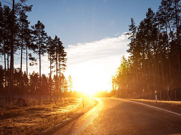 camino de invierno en norrland en suecia - blinding fotografías e imágenes de stock