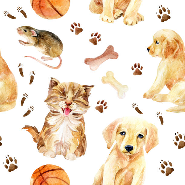 ilustrações de stock, clip art, desenhos animados e ícones de kitten, cachorrinho e rato sem costura padrão - dog tranquil scene pets animals and pets
