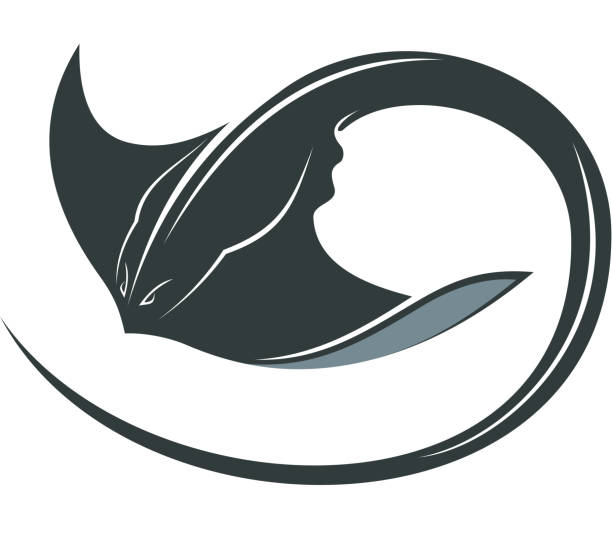 schwimmen manta ray - manta ray stock-grafiken, -clipart, -cartoons und -symbole