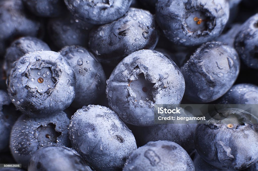 blueberry blueberry closeup Antioxidant Stock Photo
