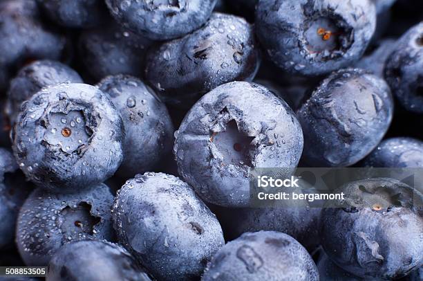 Blueberry Stock Photo - Download Image Now - Antioxidant, Berry Fruit, Blue