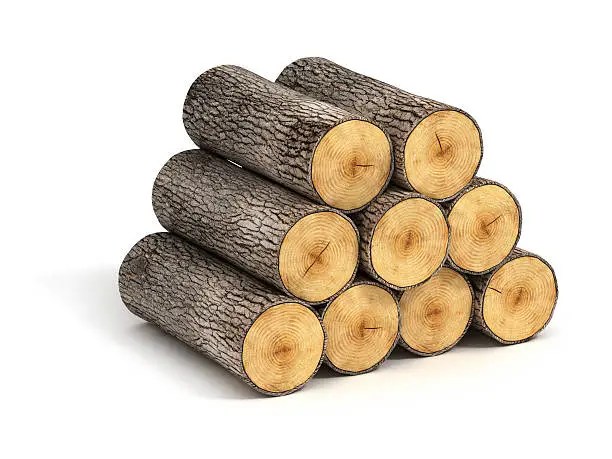 Photo of stack of firewood logs on white background