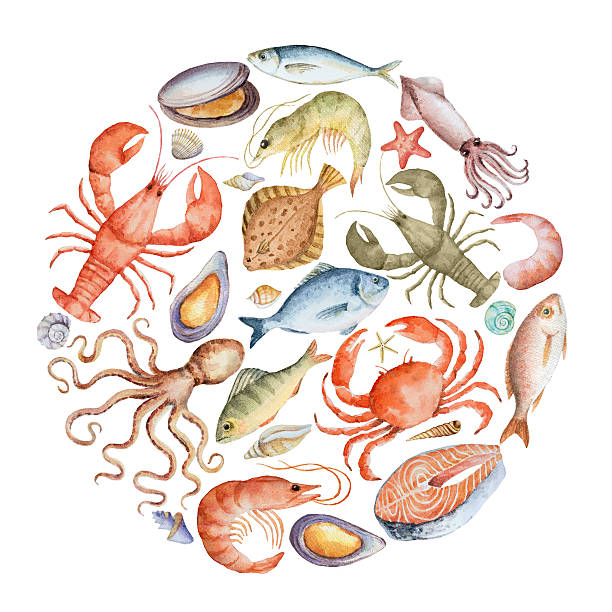 ilustraciones, imágenes clip art, dibujos animados e iconos de stock de watercolor conjunto de pescados y mariscos. - catch of fish illustrations