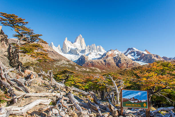 istock Viewpoint of fitzroy 508854999