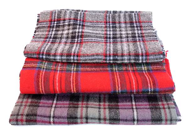 istock Multicolored Tartan Scarves 508855021