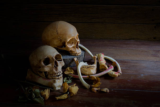 istock Skull with dry roses - Still life style 508855482