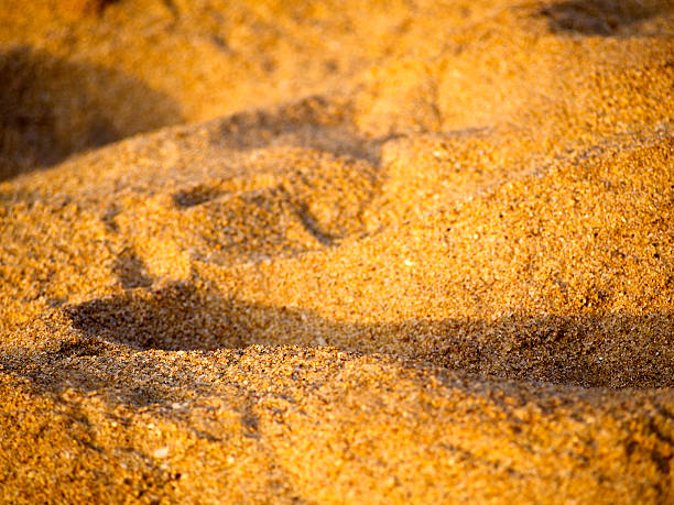 istock Close-up of sand on the beach 508856593