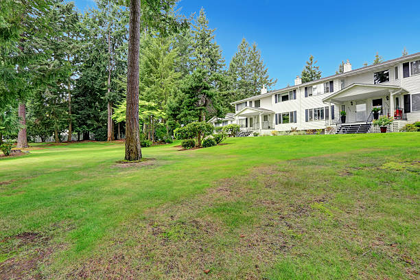 istock Large amecian house in classic style 508857221
