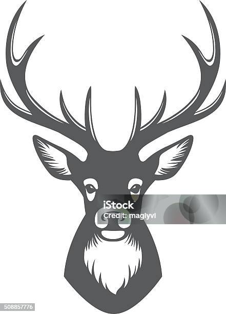Deer Head Illustration Stock Illustration - Download Image Now - Deer, Stag, Reindeer
