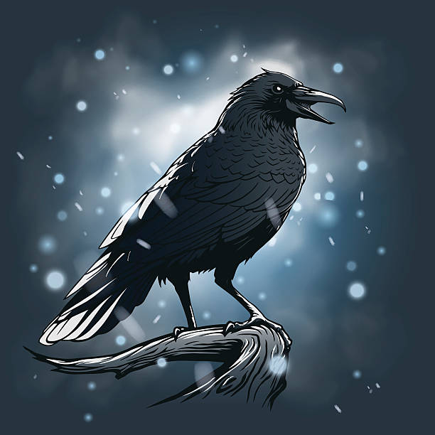 Raven illustration Raven illustration in vector white crow stock illustrations