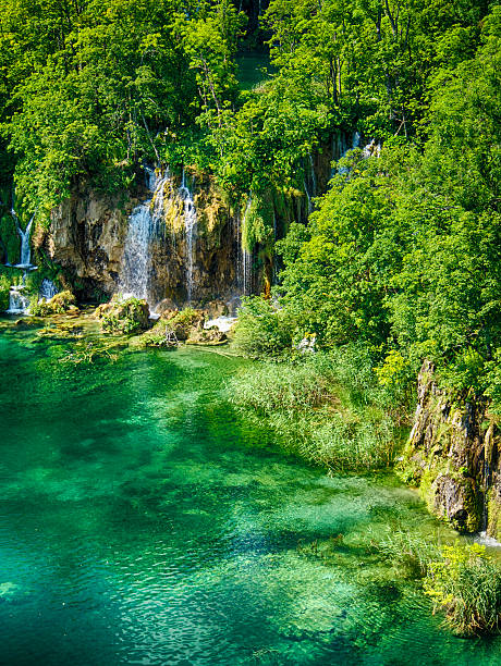 istock View from top on Plitvice Lake National Park 508858305