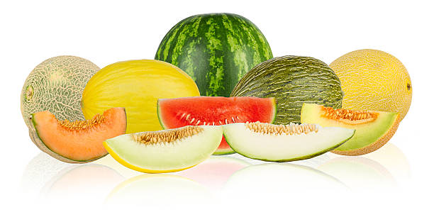 - melone panorama - melon watermelon cantaloupe portion stock-fotos und bilder