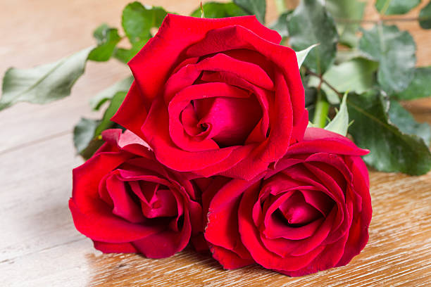 istock red rose on wooden background 508875930