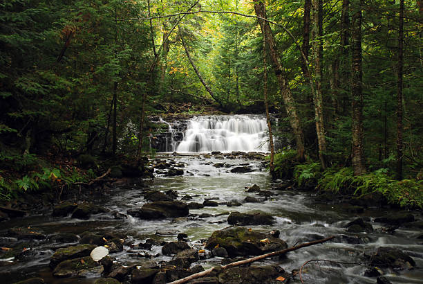 istock Upper Mosquito Falls, Michigan, USA 508878432