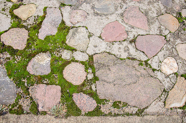 istock Brick pavement blocks. Cobbled pavement. Green moss on old stone 508879422