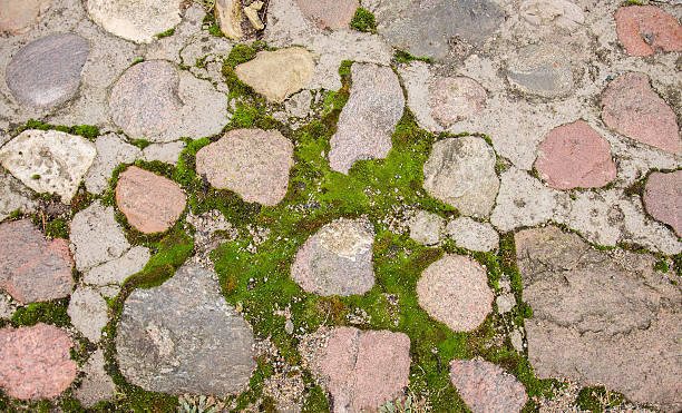 istock Brick pavement blocks. Cobbled pavement. Green moss on old stone 508879426