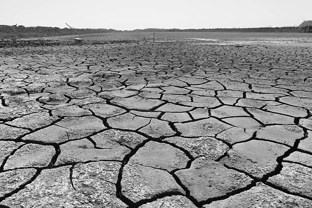 istock land with dry and cracked ground 508879842