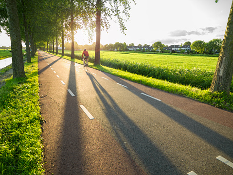 Cyclist riding bike on the country road in sunset.The road is seen in diminishing perspective.Big tall trees on the both sides of road.The main light source is sun and it is placed on the back of subject.Long shadows due to back lit.Green meadow is seen on the right side of road.Shot with medium format camera Hasselblad and wide angle lens in outdoor.