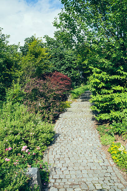 istock Stairs in the garden II 508880220