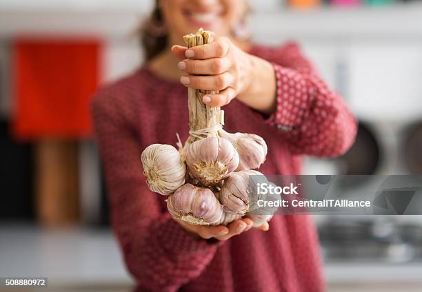 Closeup Bunch Of Garlic Held By Woman Stock Photo - Download Image Now - Garlic, Women, Wife