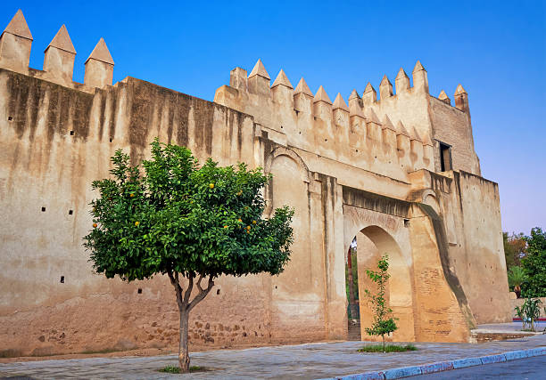 istock Old fortress in Fes, Morocco 508881128
