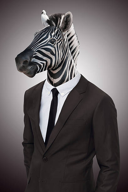 Earn your stripes in the corporate jungle Studio portrait of a businessperson with a zebra head animal representation photos stock pictures, royalty-free photos & images