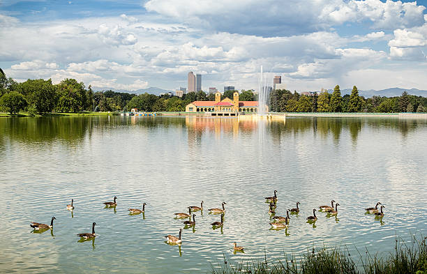 istock Summer Day at City Park Lake 508882887