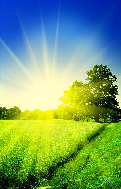 istock sunrise on a meadow and sky 508883974