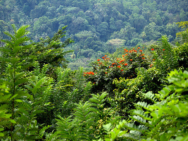 istock Beautiful landscape in the mountains 508884393