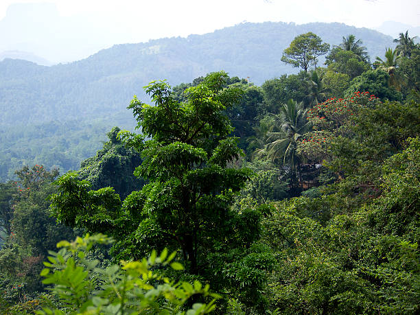 istock Beautiful landscape in the mountains 508884505