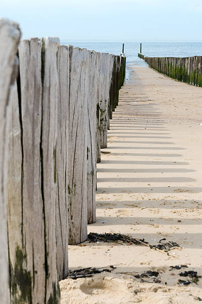 istock breakwaters in waves on the beach at the north sea 508885149