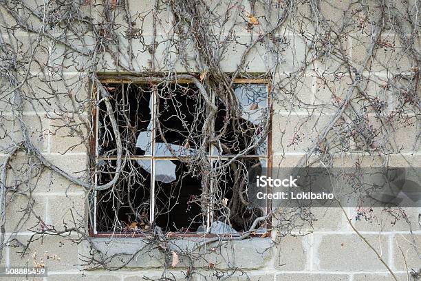 Defekte Fenster Überwachsen Mit Dead Vines Stockfoto und mehr Bilder von Abgestorbene Pflanze - Abgestorbene Pflanze, Alt, Altertümlich