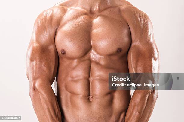 Perfect Male Torso Stock Photo - Download Image Now - Abdomen, Abdominal  Muscle, Adult - iStock