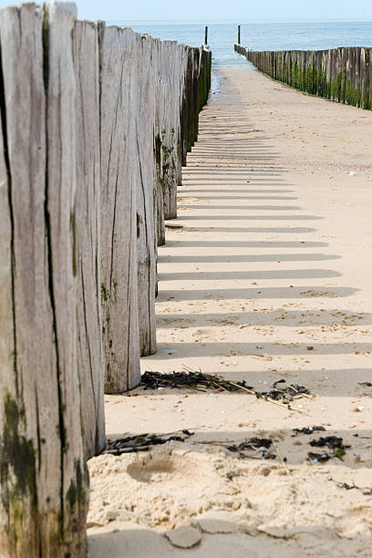 istock breakwaters in waves on the beach at the north sea 508886859