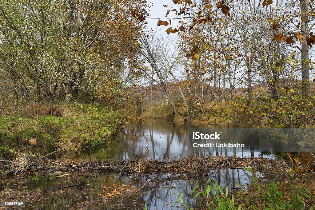 Herbst Beaver Dam in Brown County Indiana - Lizenzfrei Bach Stock-Foto