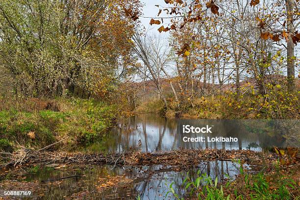 Herbst Beaver Dam In Brown County Indiana Stockfoto und mehr Bilder von Bach - Bach, Baum, Biberdamm