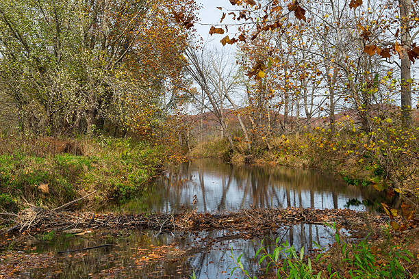 istock Autumn Beaver Dam in Brown County Indiana 508887169