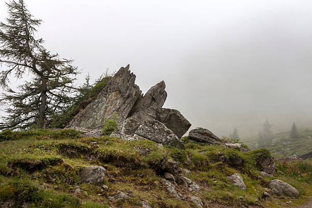 istock Alpine pasture in the fog 508893618