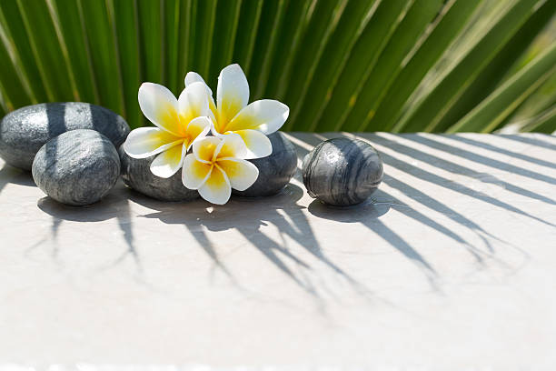 flores de plumeria y piedras sobre fondo de palmeras - alternative therapy stone zen like nature fotografías e imágenes de stock