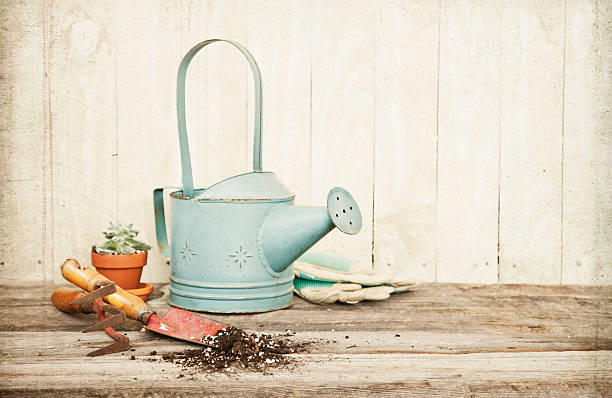 estilo vintage de jardinería con pala de mano y un rastrillo regadera, - trowel watering can dirt shovel fotografías e imágenes de stock