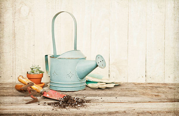 винтажный стиль gardening с рукой экскаватор, передний угол и лейка - watering can trowel dirt shovel стоковые фото и изображения