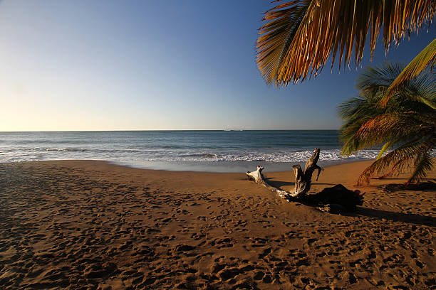 istock deshaies golden beach 508903546