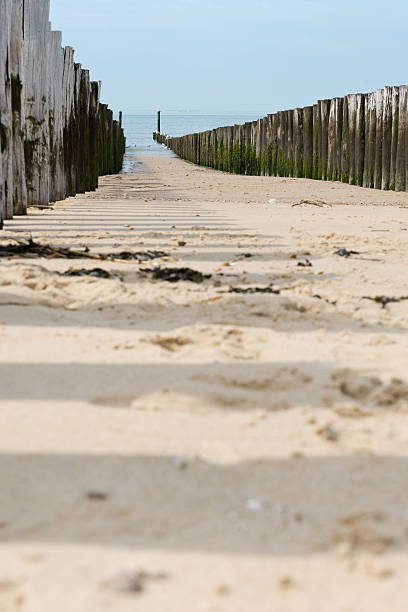istock breakwaters in waves on the beach at the north sea 508905227