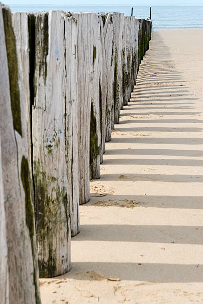istock breakwaters in waves on the beach at the north sea 508905235