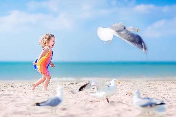 Funny laughing toddler, adorable little girl with curly hair in a colorful dress playing with seagull birds, running and jumping on a beautiful beach on a sunny hot summer day