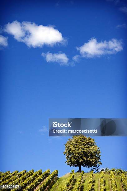 Nature Photography Summer Landscape Stock Photo - Download Image Now - Beauty In Nature, Blue, Cloud - Sky