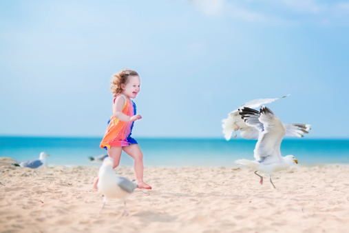 Funny laughing toddler, adorable little girl with curly hair in a colorful dress playing with seagull birds, running and jumping on a beautiful beach on a sunny hot summer day