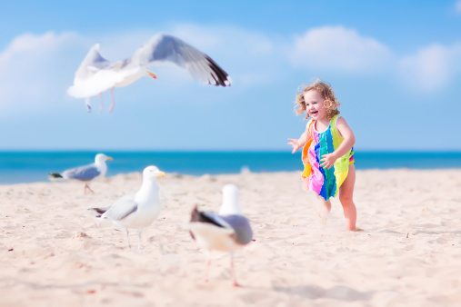 Funny lauging toddler, adorable little girl with curly hair in a colorful dress playing with seagull birds, running and jumping on a beautiful beach on a sunny hot summer day